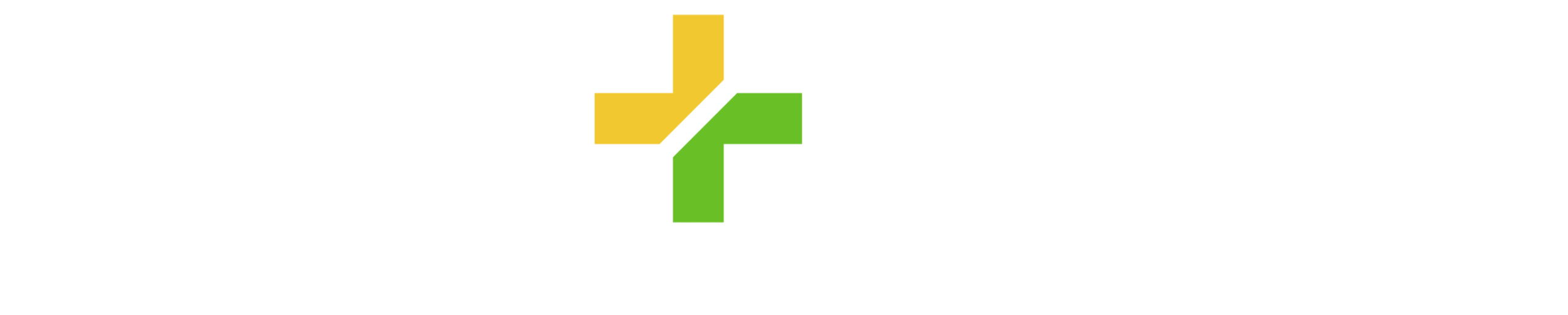 Plus Pump Logo